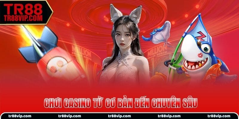 Bí quyết chơi Casino từ cơ bản đến chuyên sâu