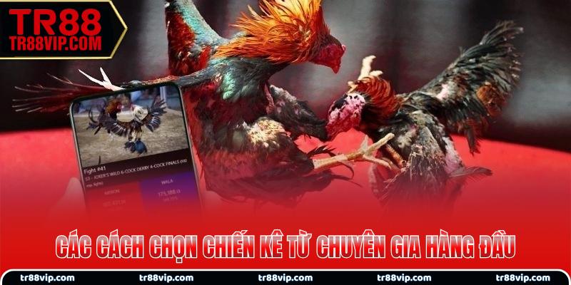 Chọn đúng chiến kê tham gia cá cược chuẩn