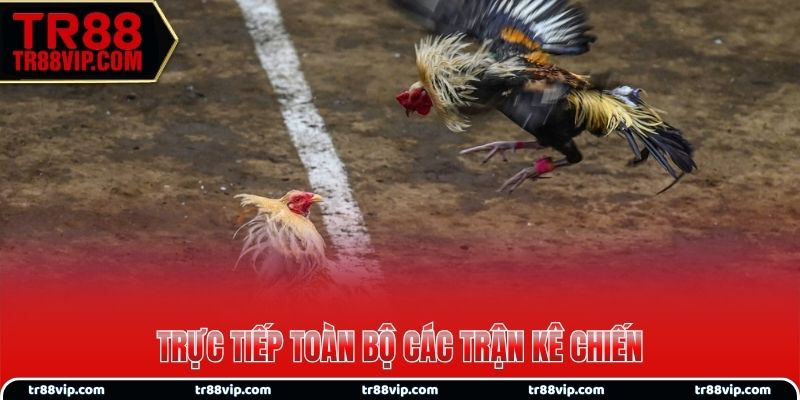 Trực tiếp toàn bộ các trận kê chiến