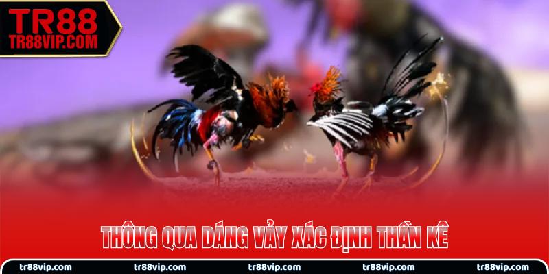 Thông qua dáng vảy xác định thần kê